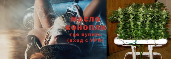 дживик Тында