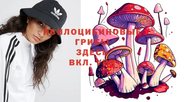 марихуана Заводоуковск
